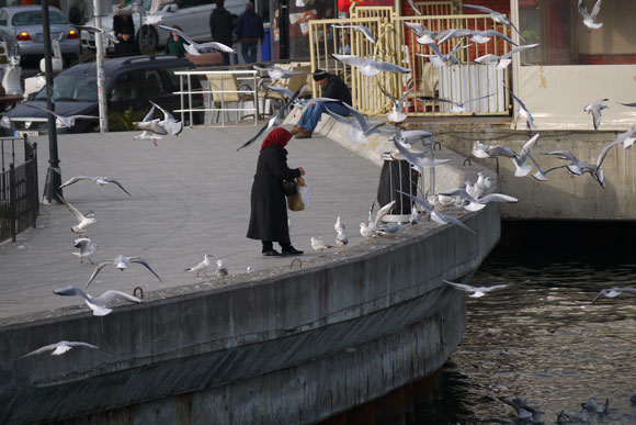 A woman feeds birds on the dockside
